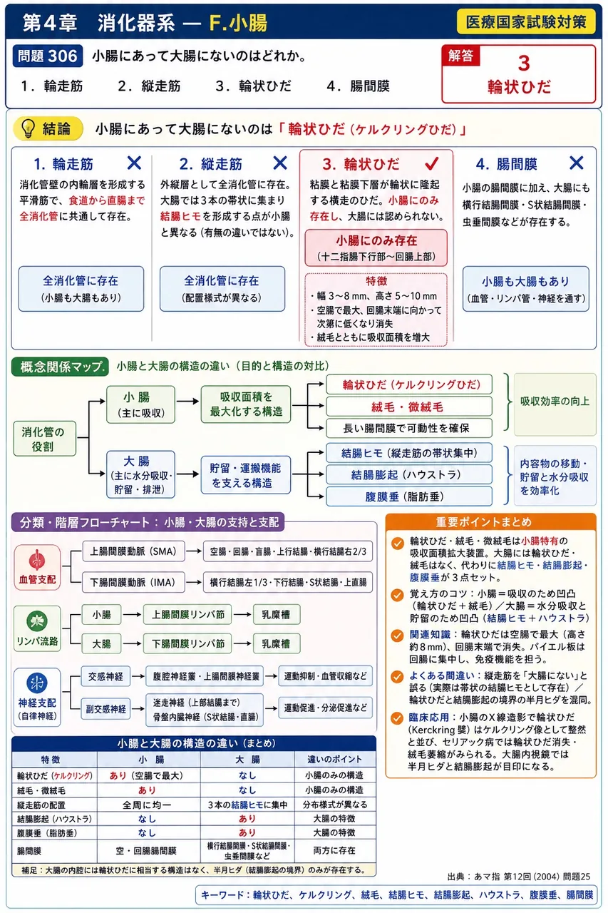 あマ指 第12回(2004) 問題25|小腸にあって大腸にないのはどれか。 解説図