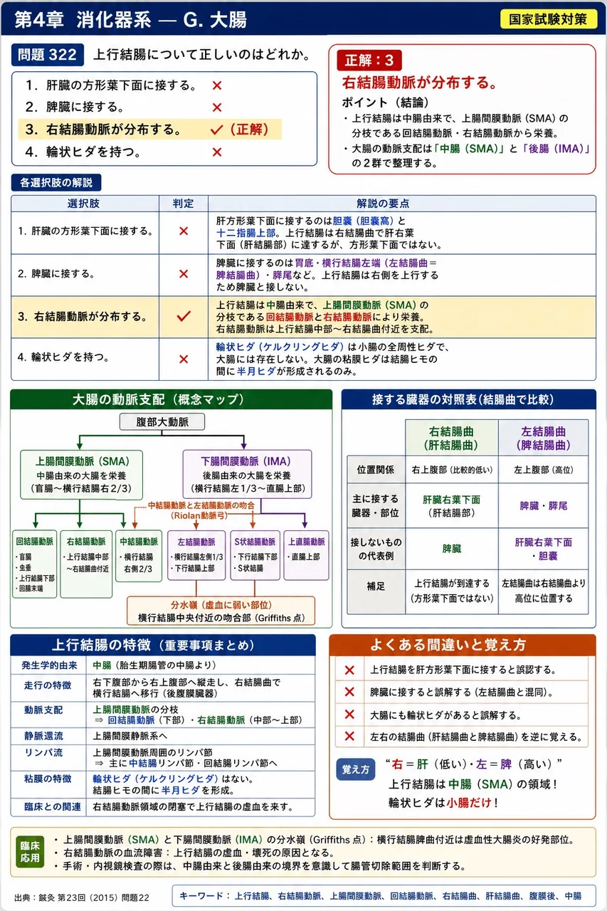 鍼灸 第23回(2015) 問題22｜上行結腸について正しいのはどれか。 解説図