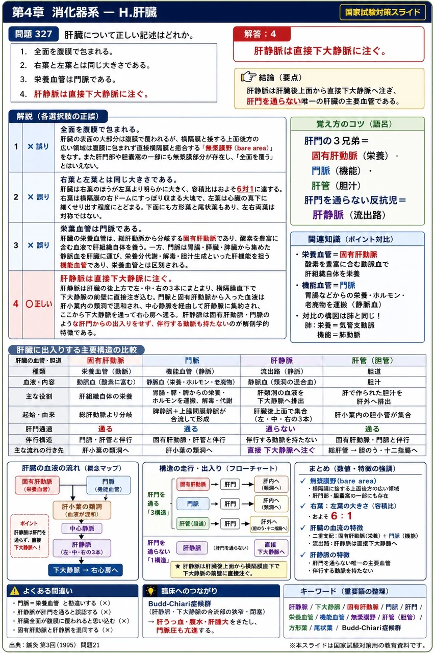 鍼灸 第3回(1995) 問題21|肝臓について正しい記述はどれか。 解説図