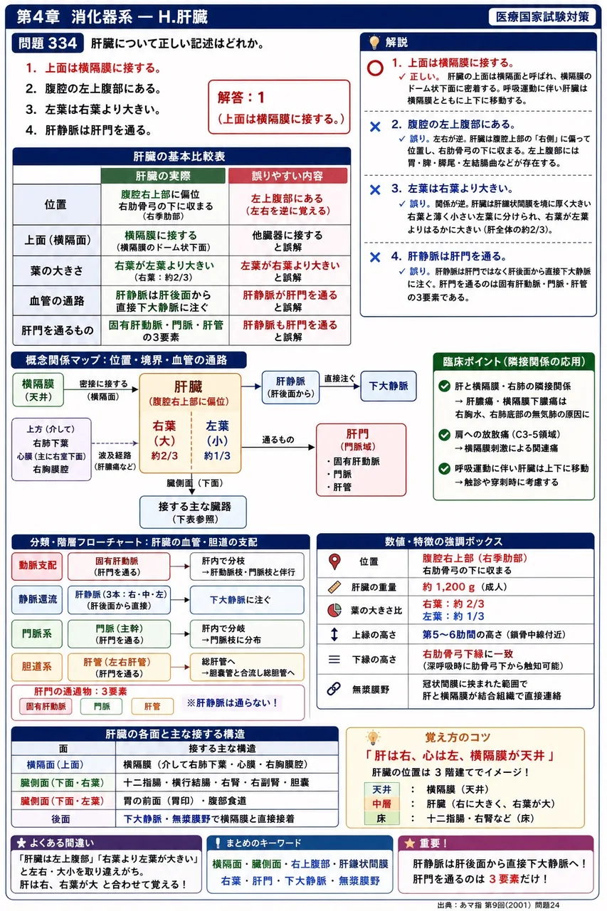 あマ指 第9回(2001) 問題24|肝臓について正しい記述はどれか。 解説図