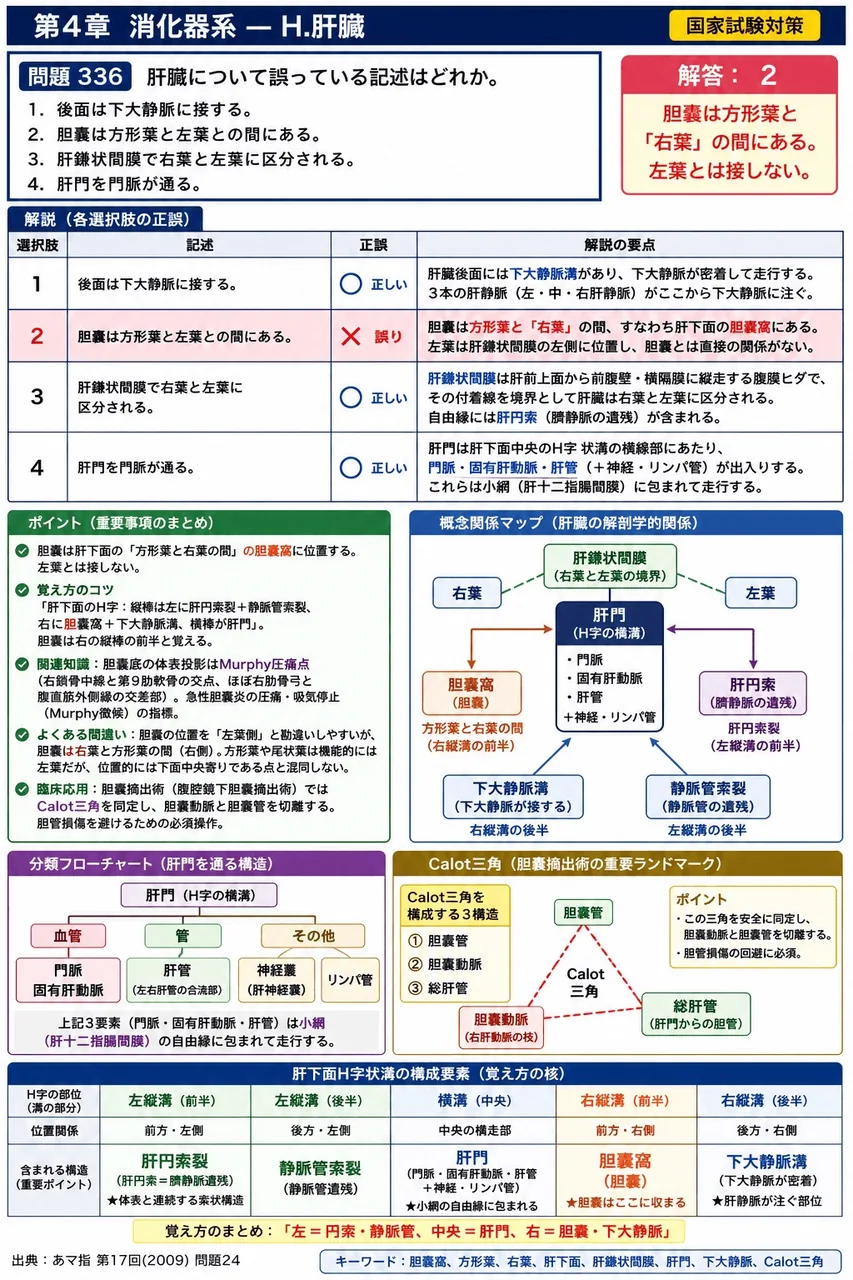 あマ指 第17回(2009) 問題24｜肝臓について誤っている記述はどれか。 解説図
