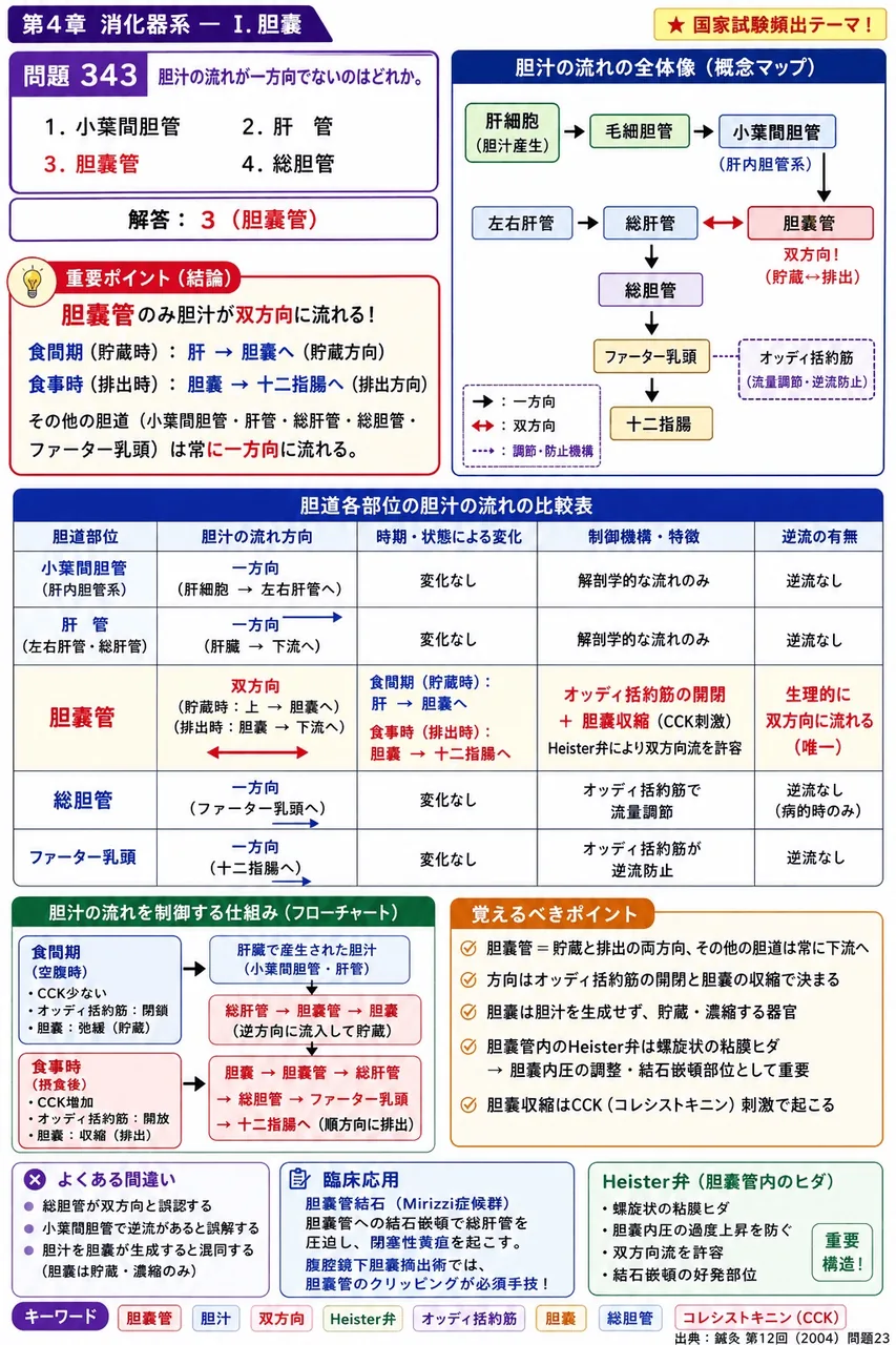 鍼灸 第12回(2004) 問題23|胆汁の流れが一方向でないのはどれか。 解説図