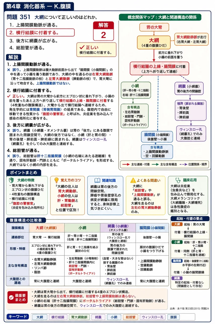 あマ指 第23回(2015) 問題24|大網について正しいのはどれか。 解説図