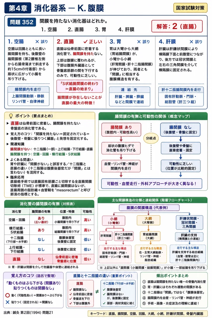 鍼灸 第2回(1994) 問題21|間膜を持たない消化器はどれか。 解説図