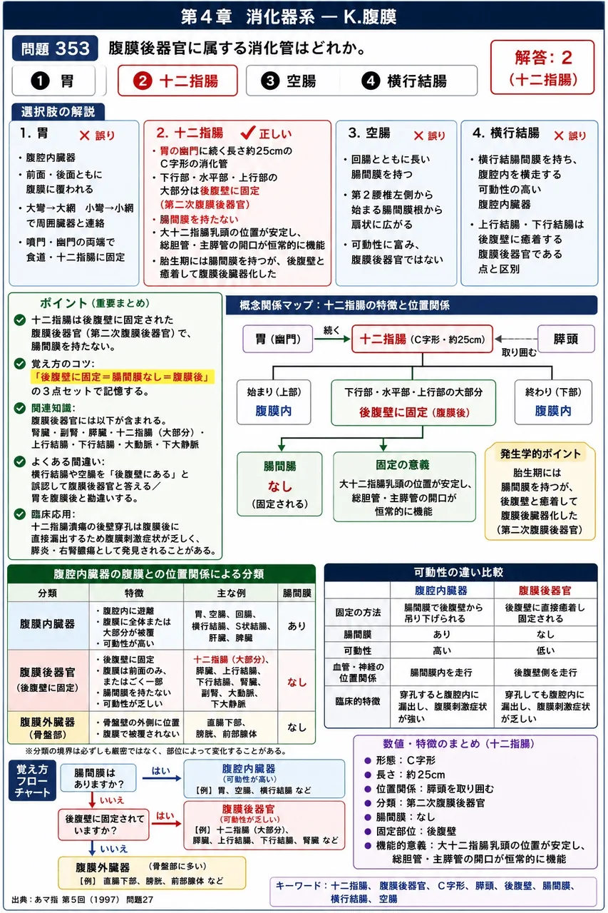 あマ指 第5回(1997) 問題27｜腹膜後器官に属する消化管はどれか。 解説図