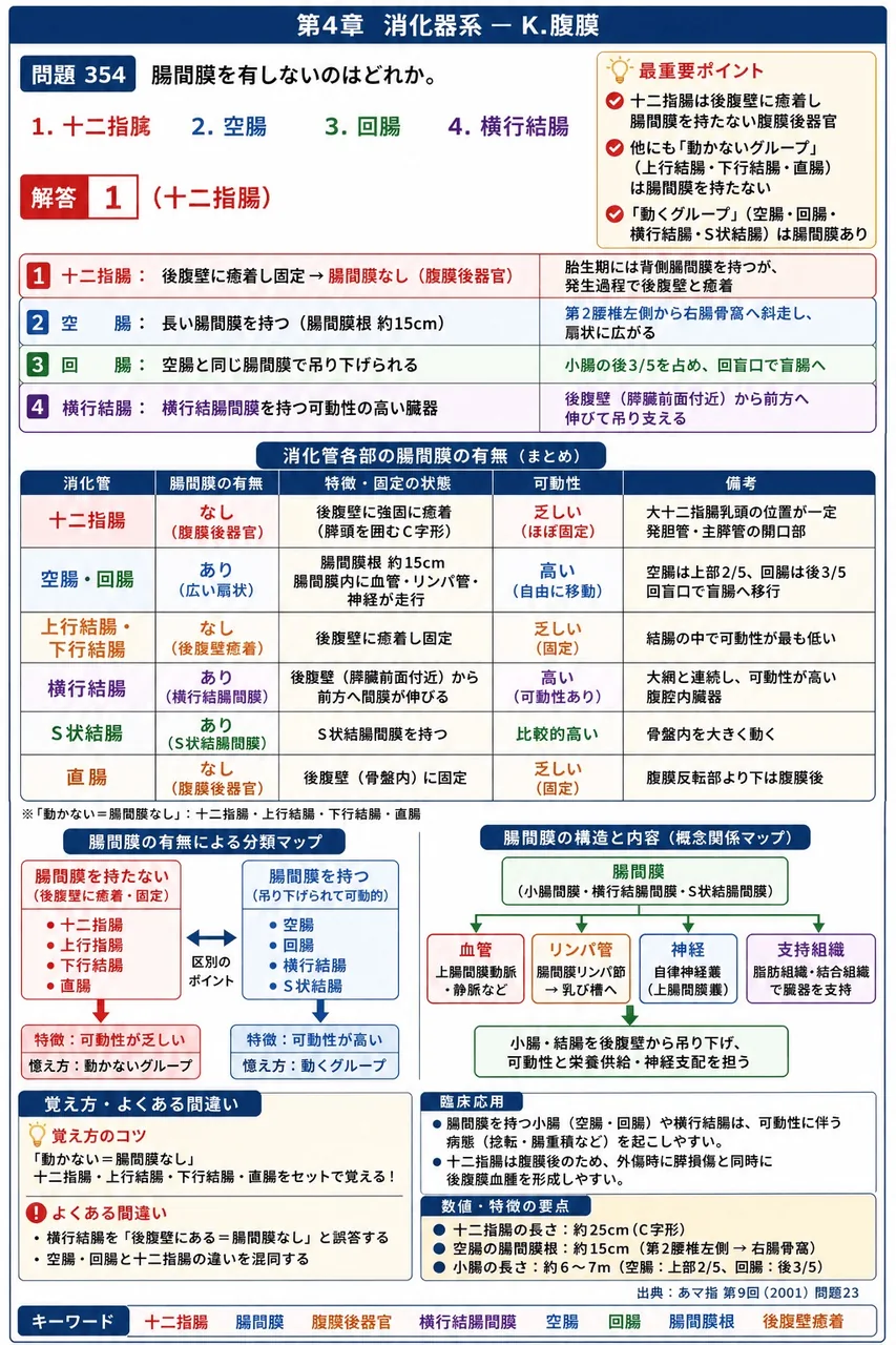 あマ指 第9回(2001) 問題23｜腸間膜を有しないのはどれか。 解説図