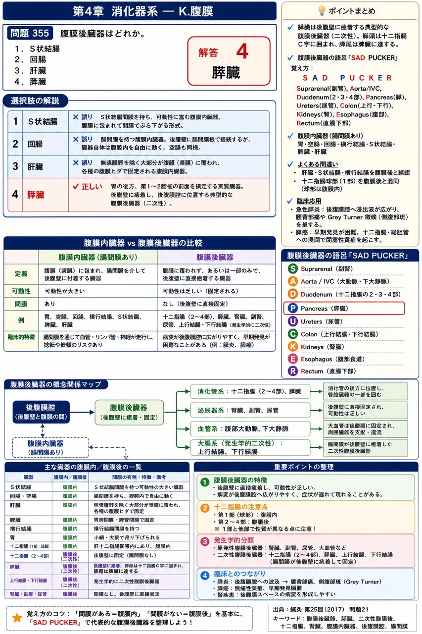 鍼灸 第25回(2017) 問題21|腹膜後臓器はどれか。 解説図