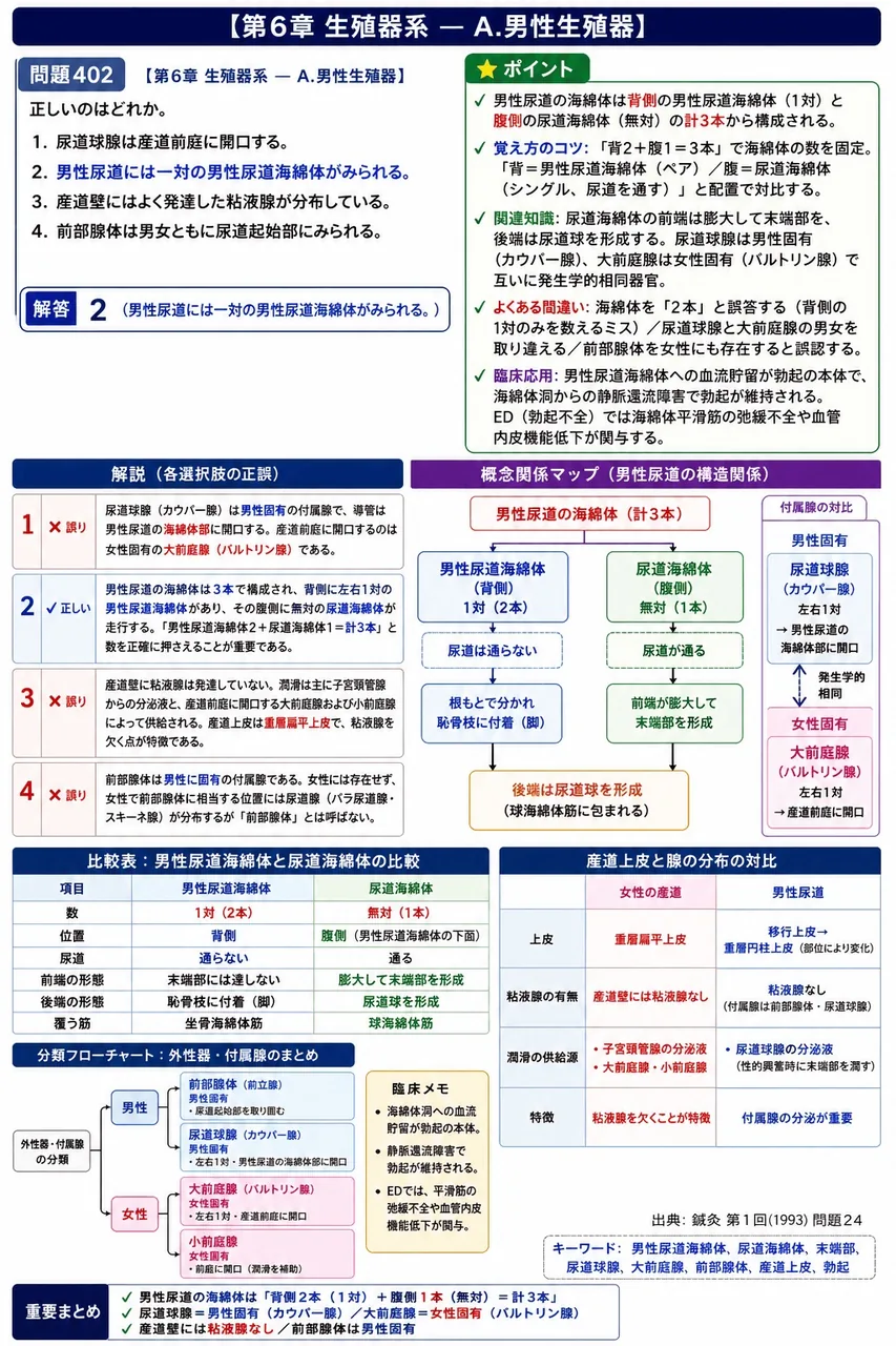 鍼灸 第1回(1993) 問題24｜正しいのはどれか。 解説図