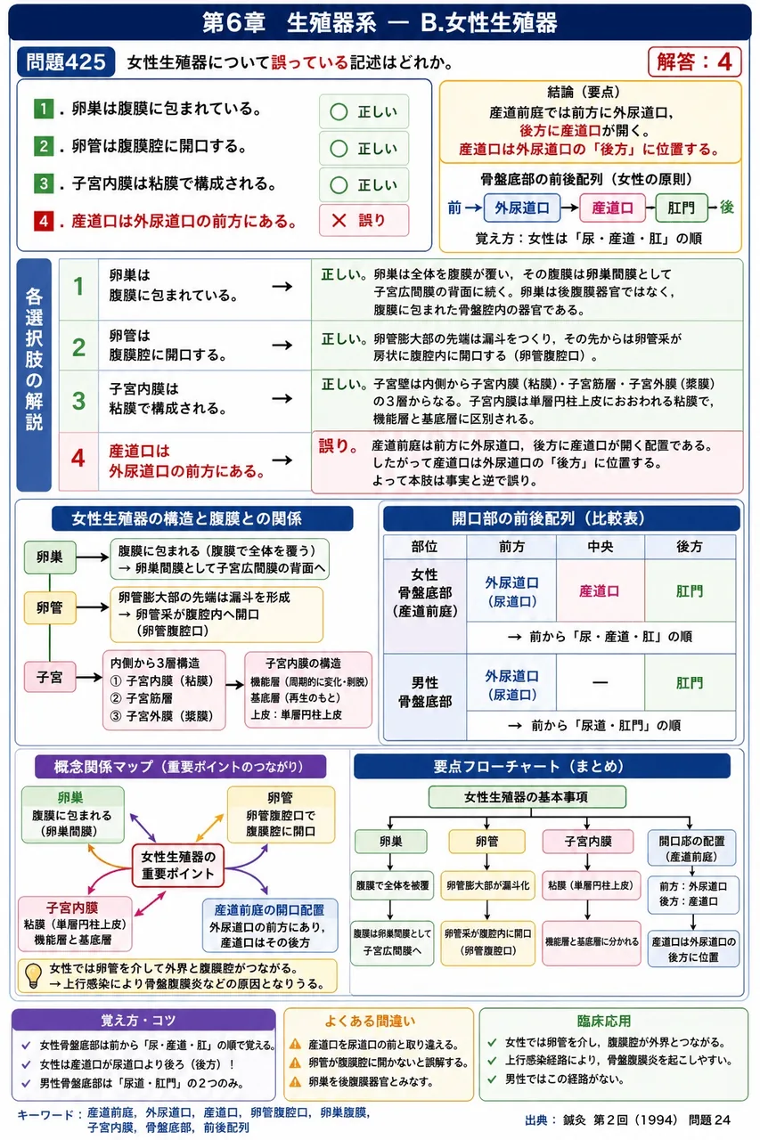 鍼灸 第2回(1994) 問題24｜女性生殖器について誤っている記述はどれか。 解説図