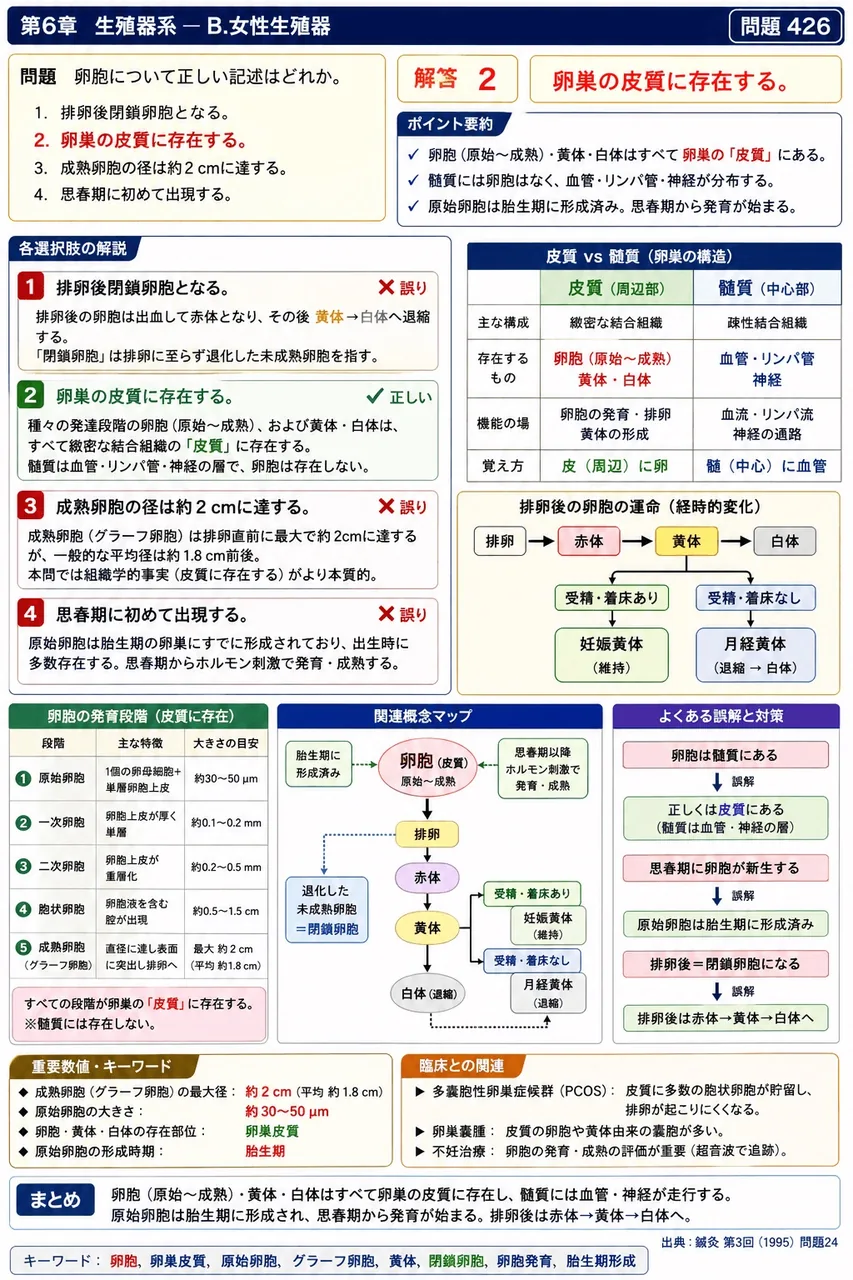 鍼灸 第3回(1995) 問題24|卵胞について正しい記述はどれか。 解説図