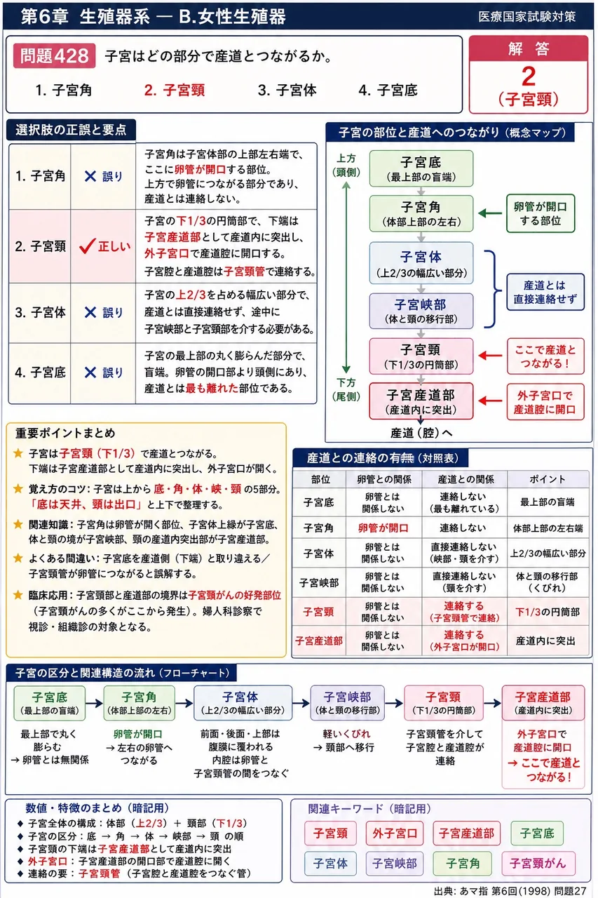 あマ指 第6回(1998) 問題27|子宮はどの部分で膣とつながるか。 解説図