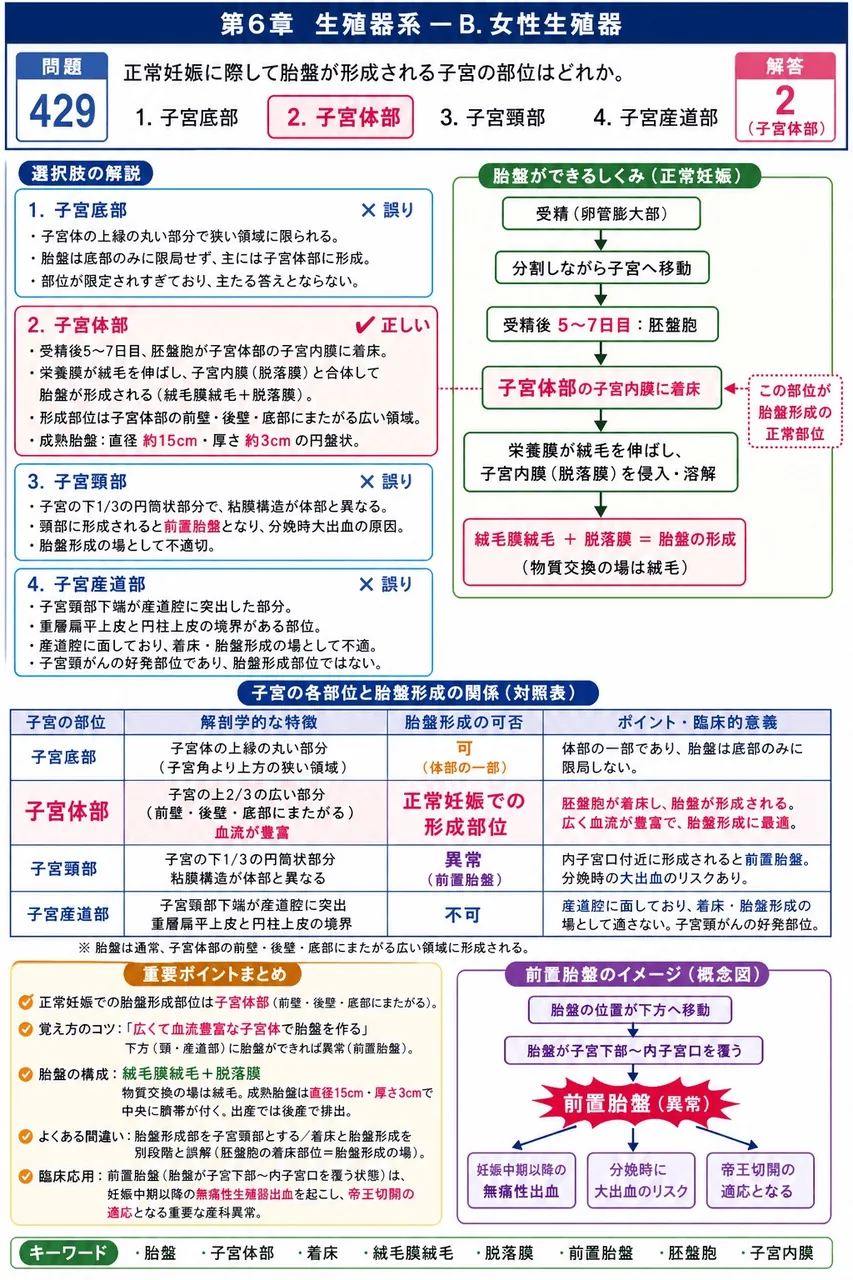 鍼灸 第7回(1999) 問題25｜正常妊娠に際して胎盤が形成される子宮の部位はどれか。 解説図