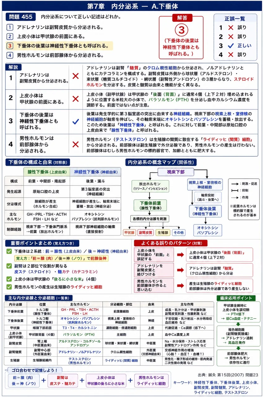 鍼灸 第15回(2007) 問題23｜内分泌系について正しい記述はどれか。 解説図
