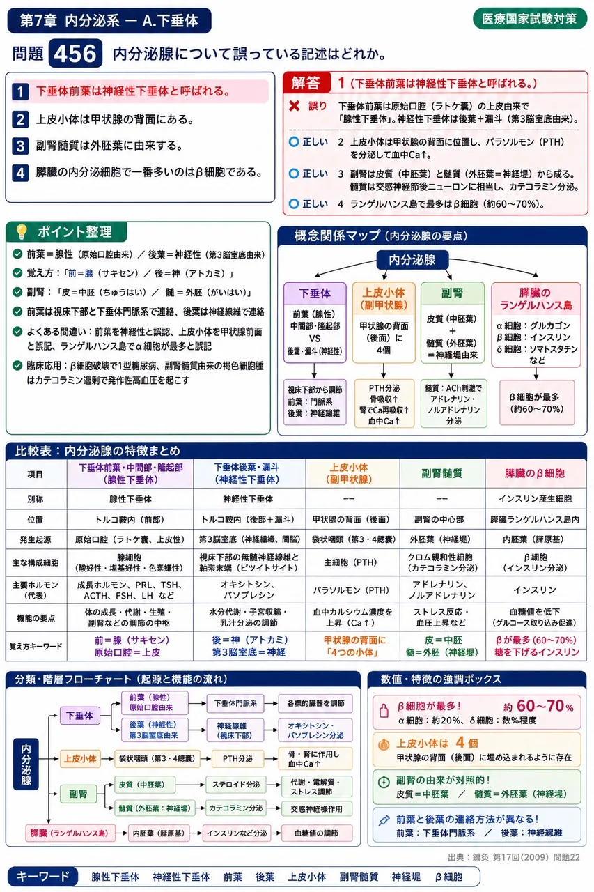 鍼灸 第17回(2009) 問題22|内分泌腺について誤っている記述はどれか。 解説図