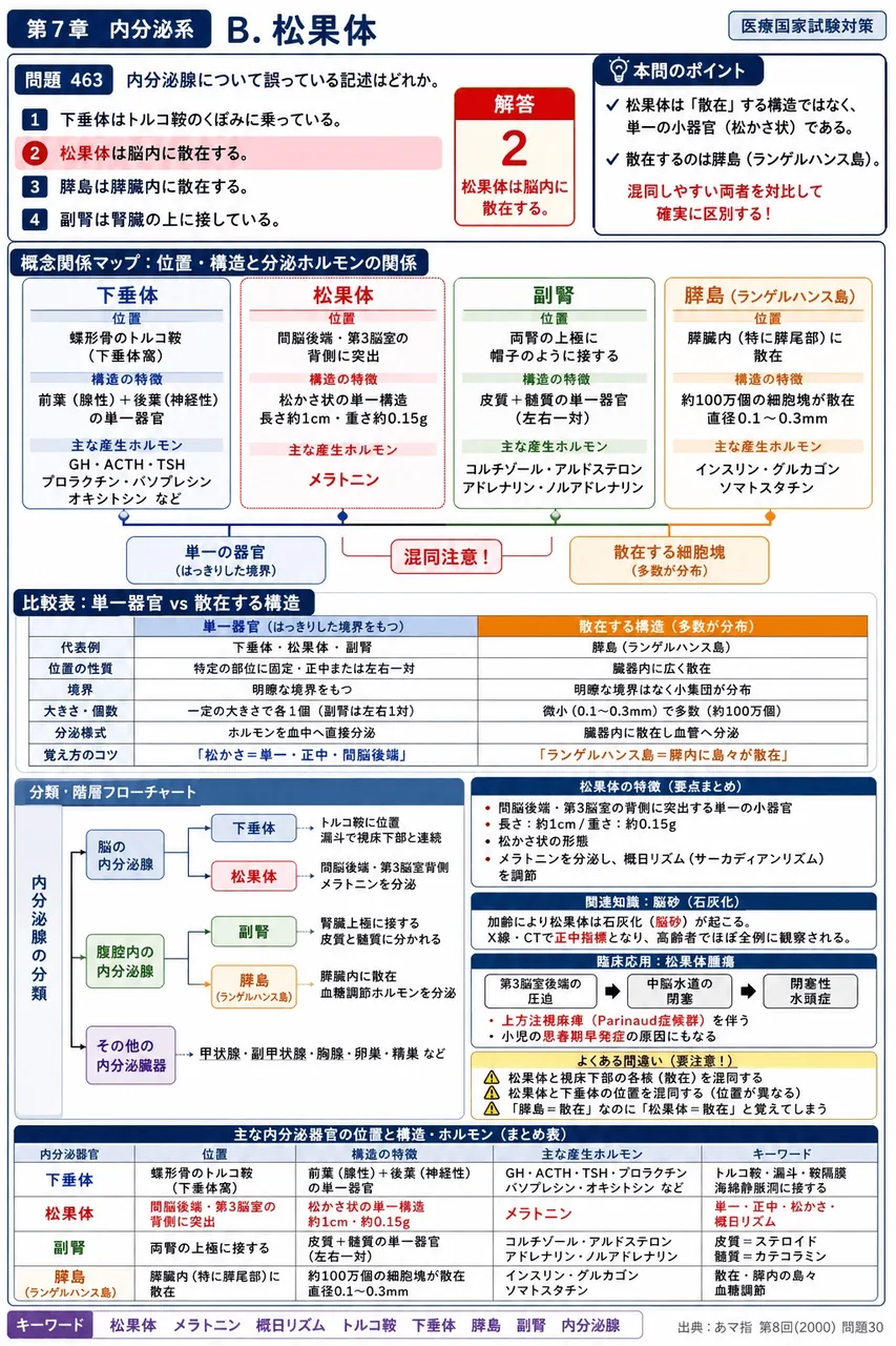 あマ指 第8回(2000) 問題30|内分泌腺について誤っている記述はどれか。 解説図