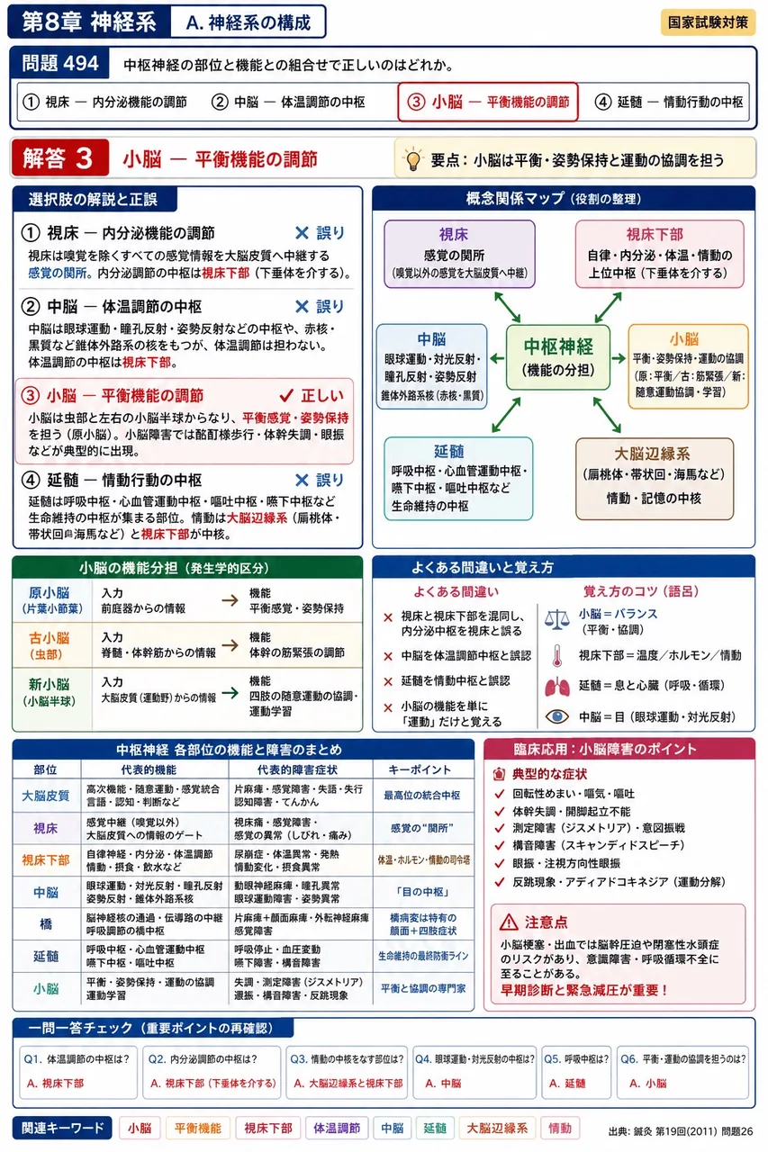 鍼灸 第19回(2011) 問題26|中枢神経の部位と機能との組合せで正しいのはどれか。 解説図