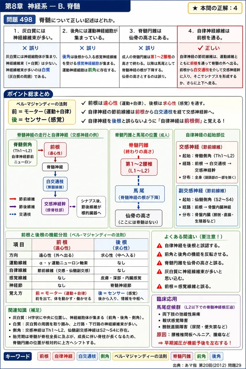 あマ指 第20回(2012) 問題29｜脊髄について正しい記述はどれか。 解説図