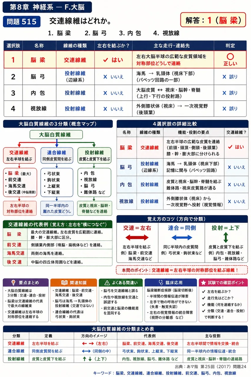 あマ指 第25回(2017) 問題24｜交連線維はどれか。 解説図