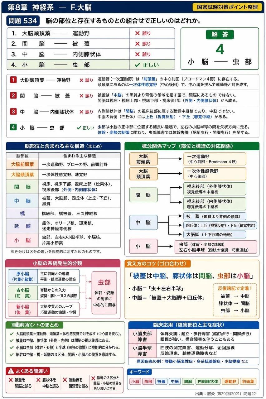 鍼灸 第29回(2021) 問題22|脳の部位と存在するものとの組合せで正しいのはどれか。 解説図