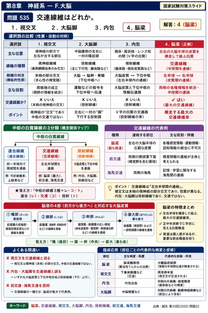 鍼灸 第33回(2025) 問題22｜交連線維はどれか。 解説図