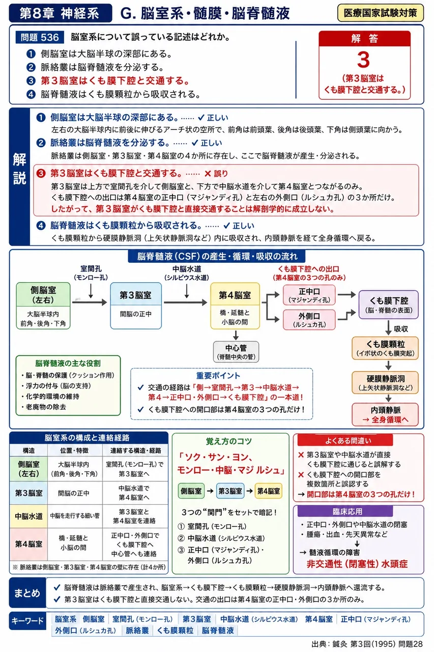 鍼灸 第3回(1995) 問題28｜脳室系について誤っている記述はどれか。 解説図