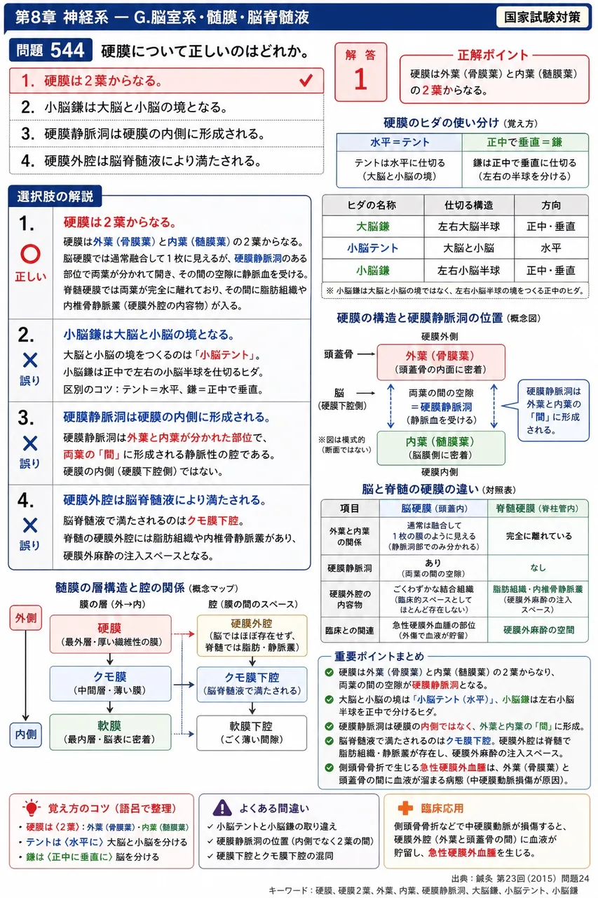鍼灸 第23回(2015) 問題24｜硬膜について正しいのはどれか。 解説図