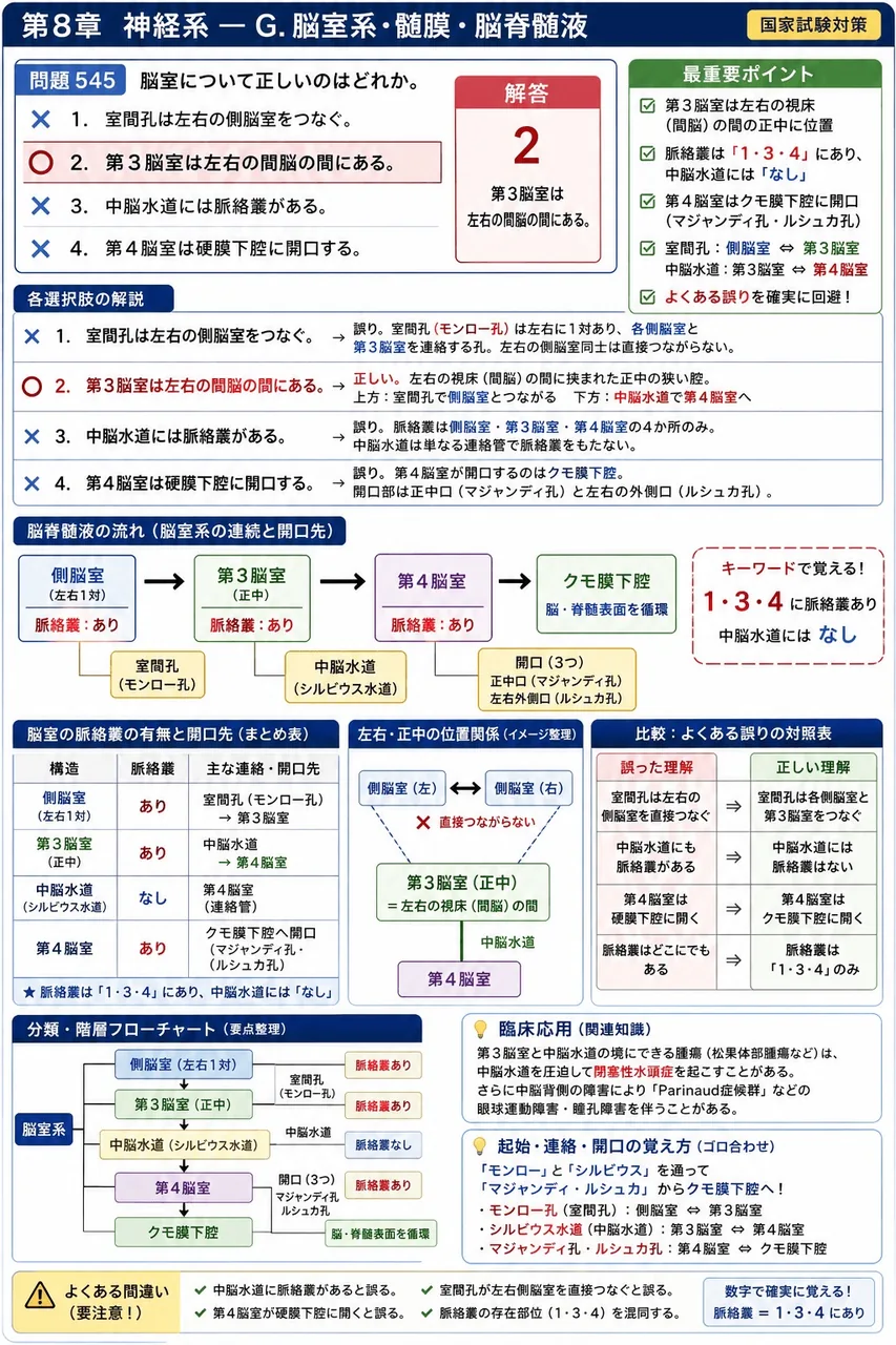 鍼灸 第26回(2018) 問題23｜脳室について正しいのはどれか。 解説図