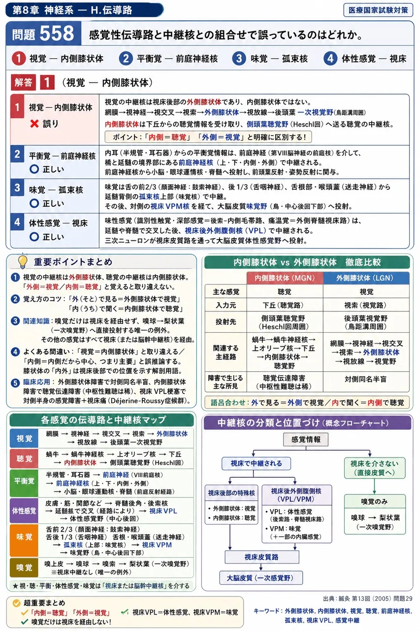 鍼灸 第13回(2005) 問題29|感覚性伝導路と中継核との組合せで誤っているのはどれか。 解説図