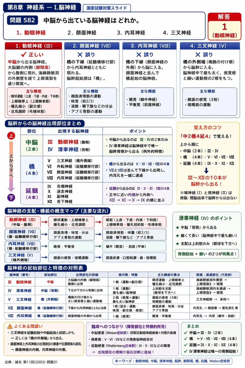 鍼灸 第11回(2003) 問題31|中脳から出ている脳神経はどれか。 解説図