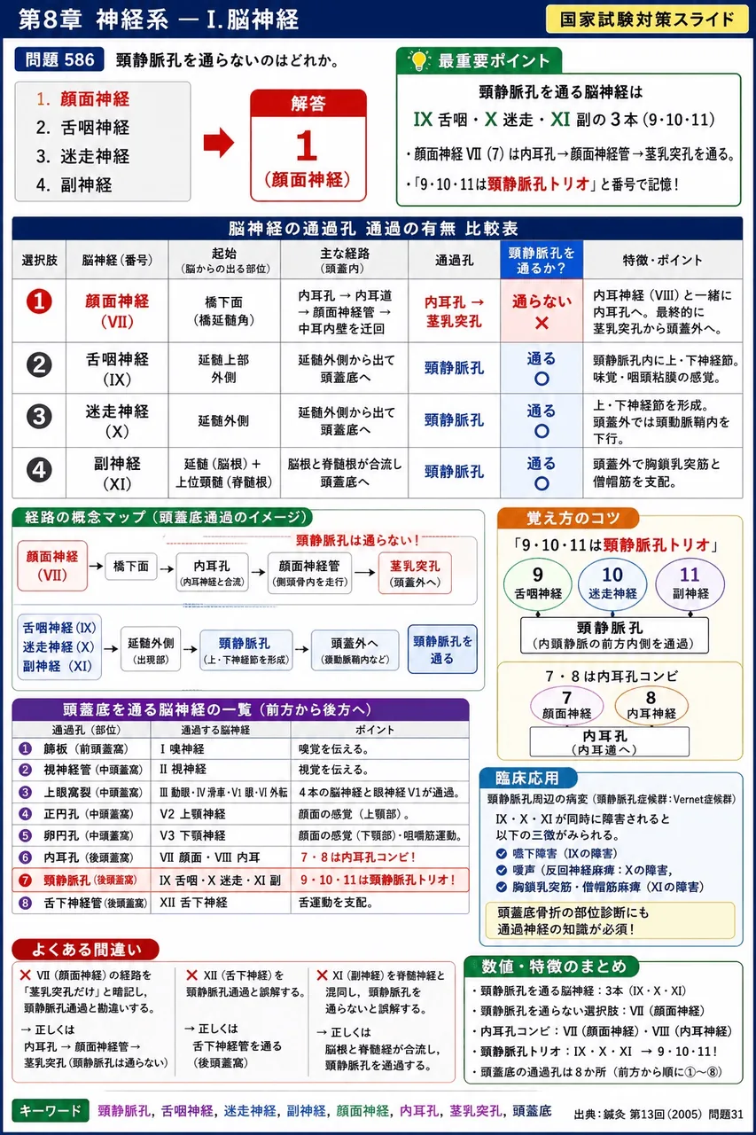 鍼灸 第13回(2005) 問題31|頸静脈孔を通らないのはどれか。 解説図
