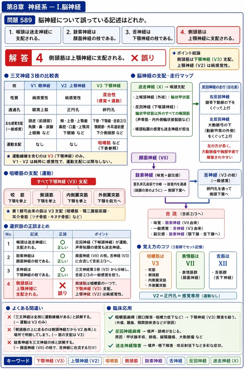 鍼灸 第15回(2007) 問題27｜脳神経について誤っている記述はどれか。 解説図