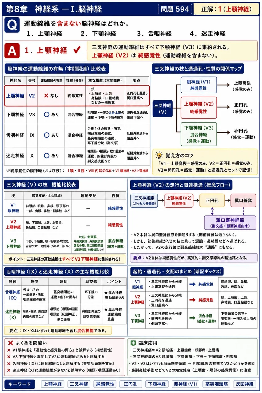 あマ指 第17回(2009) 問題28｜運動線維を含まない脳神経はどれか。 解説図