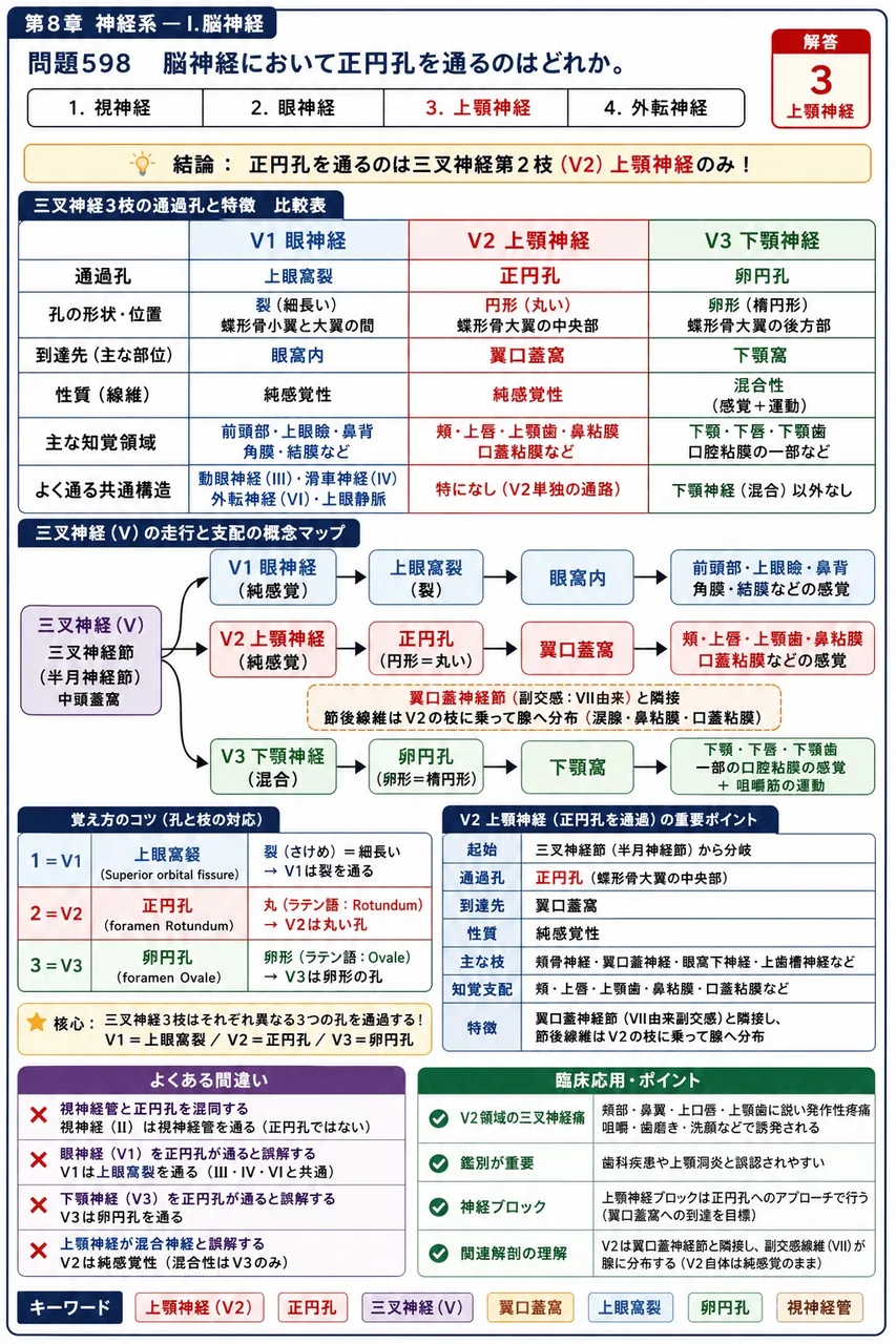 鍼灸 第18回(2010) 問題27｜脳神経において正円孔を通るのはどれか。 解説図