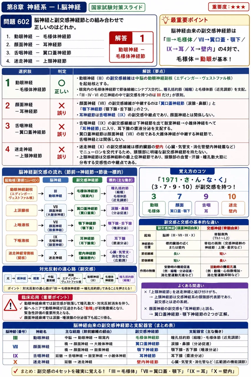 鍼灸 第20回(2012) 問題29|脳神経と副交感神経節との組み合わせで正しいのはどれか。 解説図