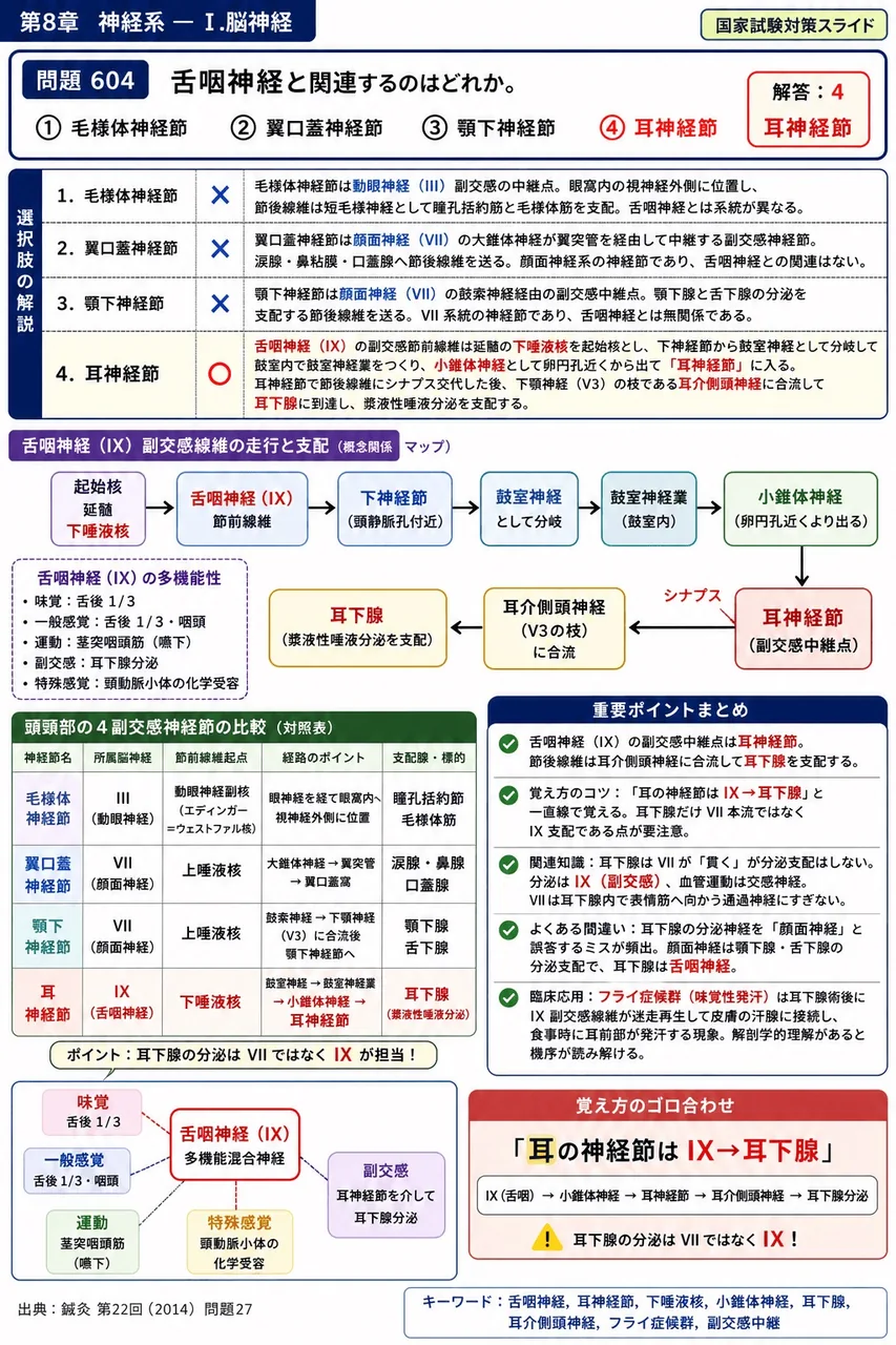 鍼灸 第22回(2014) 問題27｜舌咽神経と関連するのはどれか。 解説図