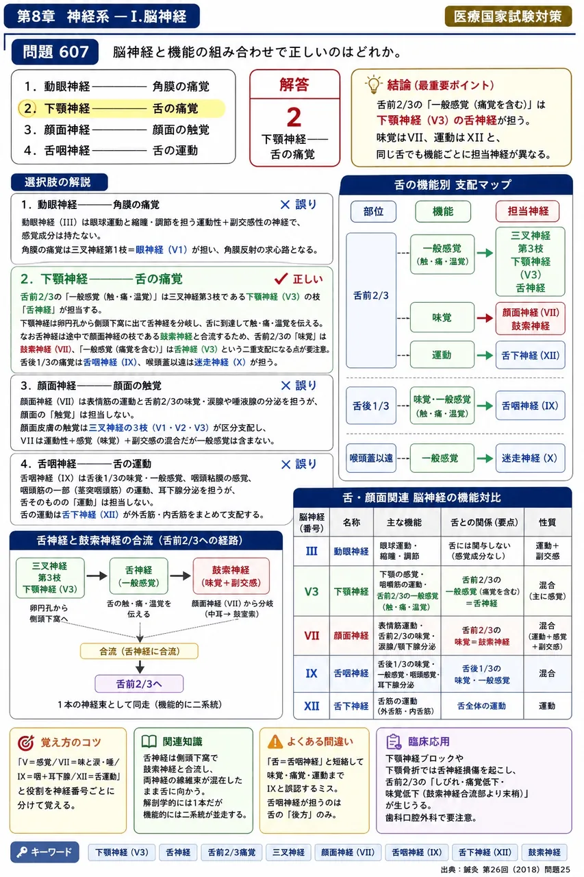 鍼灸 第26回(2018) 問題25|脳神経と機能の組み合わせで正しいのはどれか。 解説図