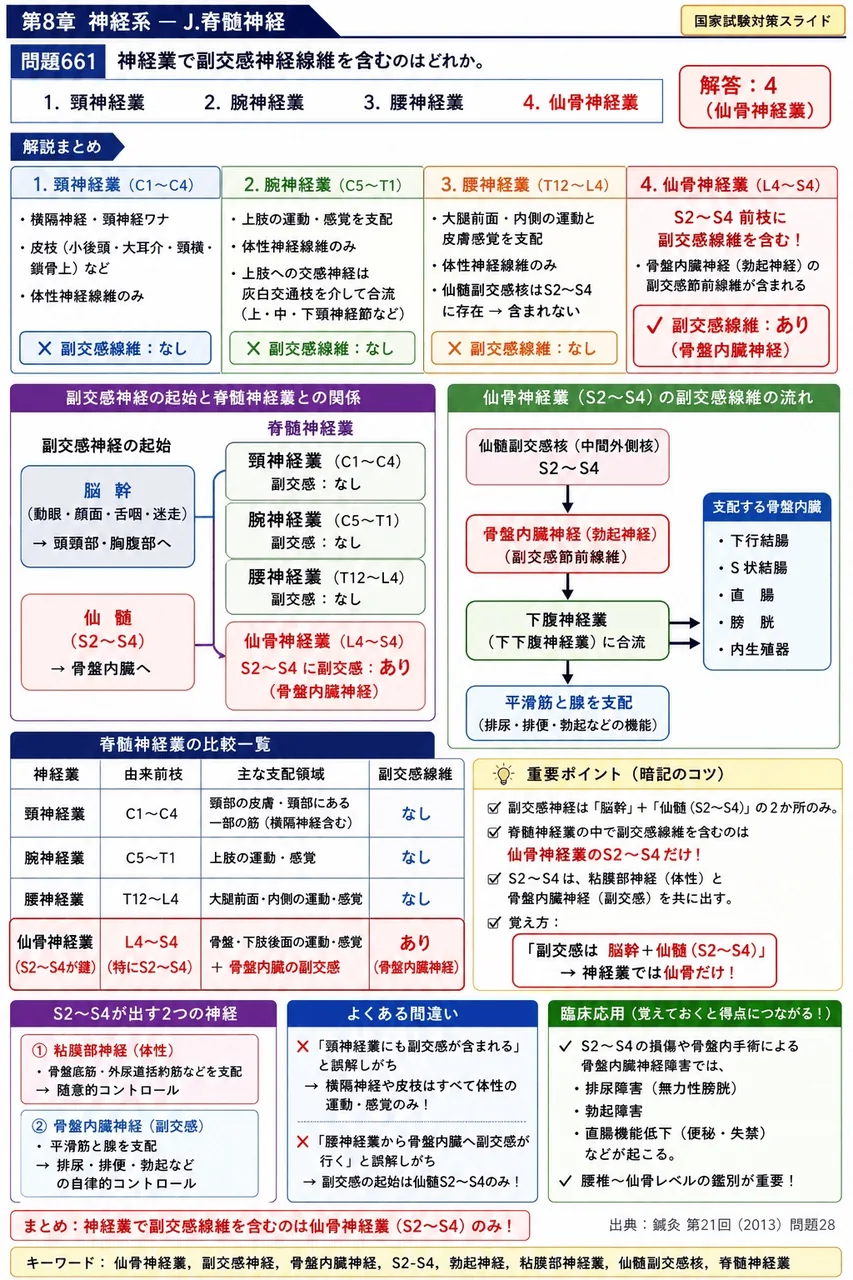 鍼灸 第21回(2013) 問題28｜神経叢で副交感神経線維を含むのはどれか。 解説図