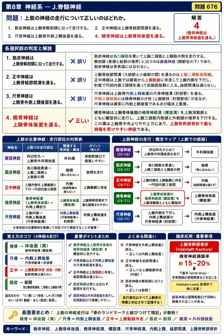 鍼灸 第34回(2026) 問題15|上肢の神経の走行について正しいのはどれか。 解説図