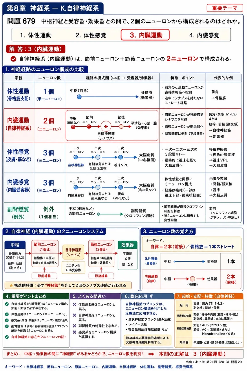 あマ指 第21回(2013) 問題29|中枢神経と受容器・効果器との間で、2個のニューロンから構成されるのはどれか。 解説図