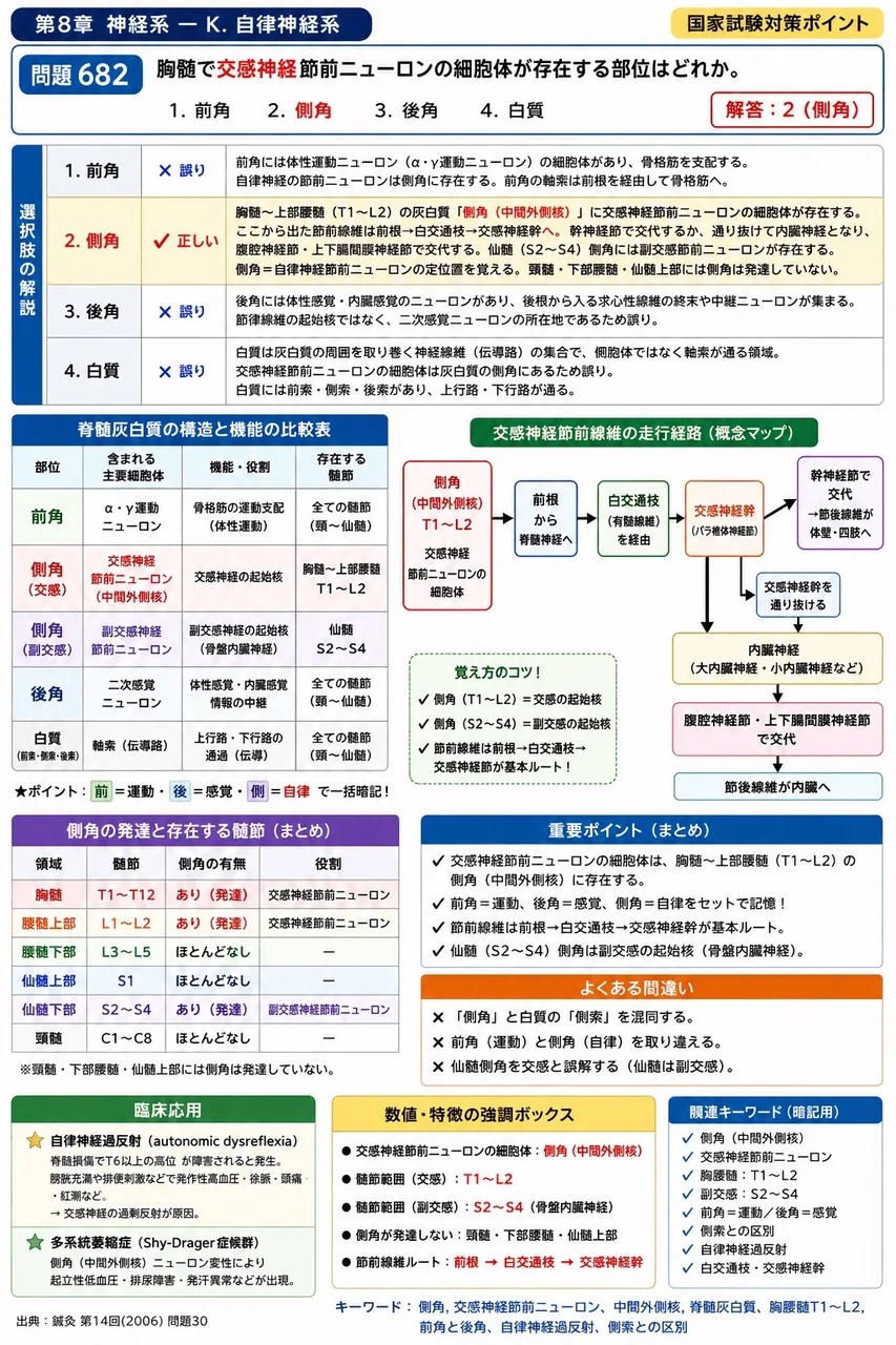 鍼灸 第14回(2006) 問題30｜胸髄で交感神経節前ニューロンの細胞体が存在する部位はどれか。 解説図