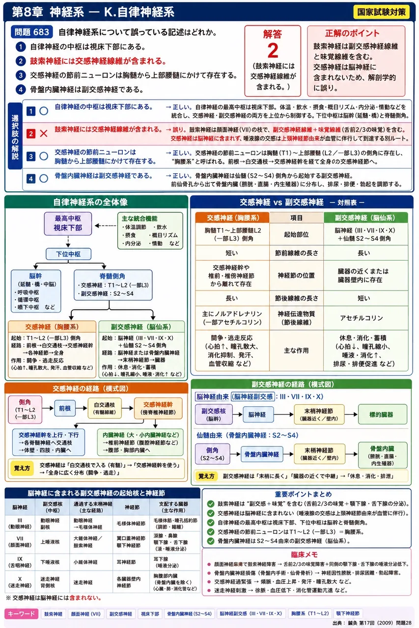 鍼灸 第17回(2009) 問題28｜自律神経系について誤っている記述はどれか。 解説図