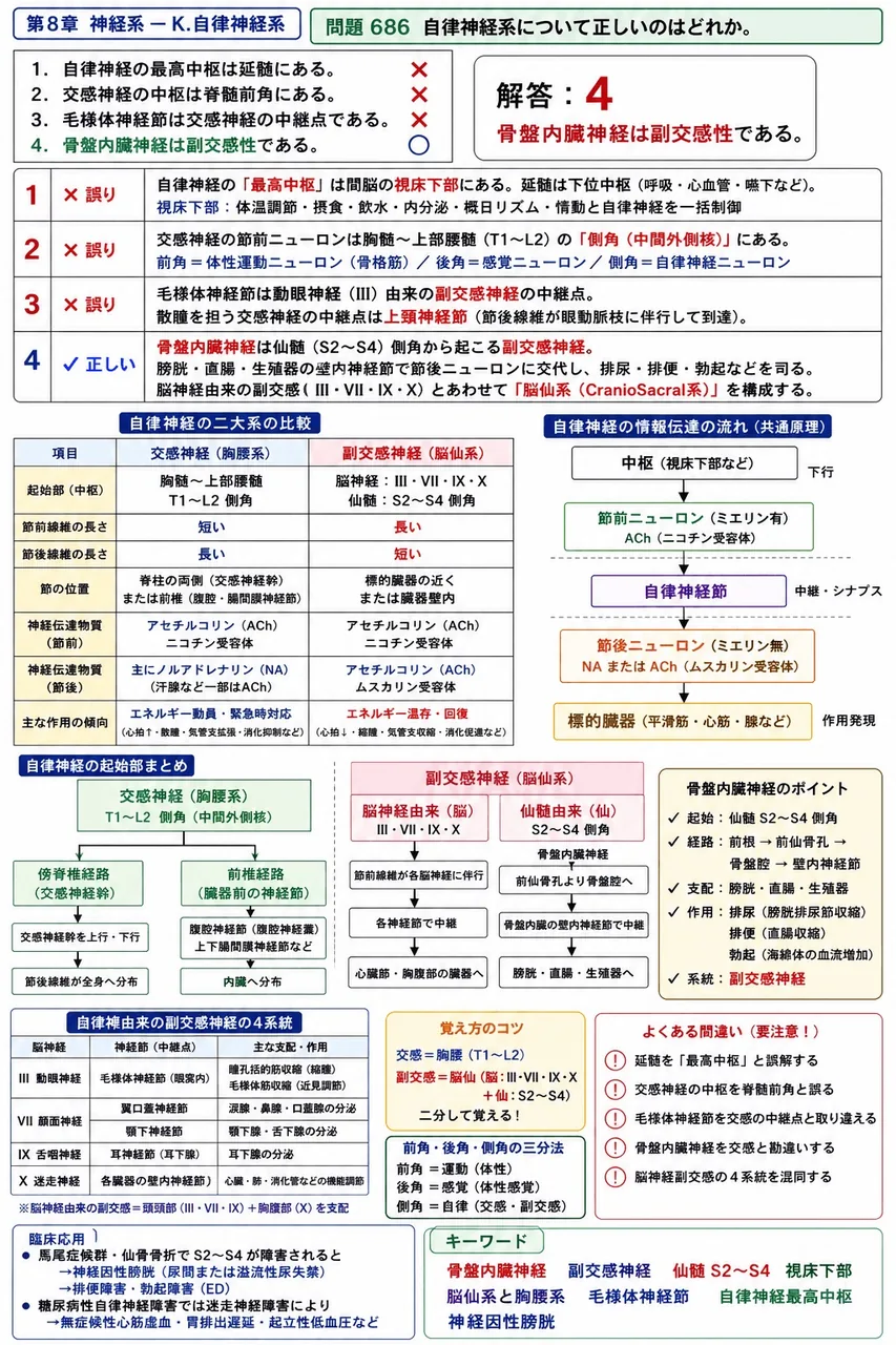 あマ指 第29回(2021) 問題21|自律神経系について正しいのはどれか。 解説図