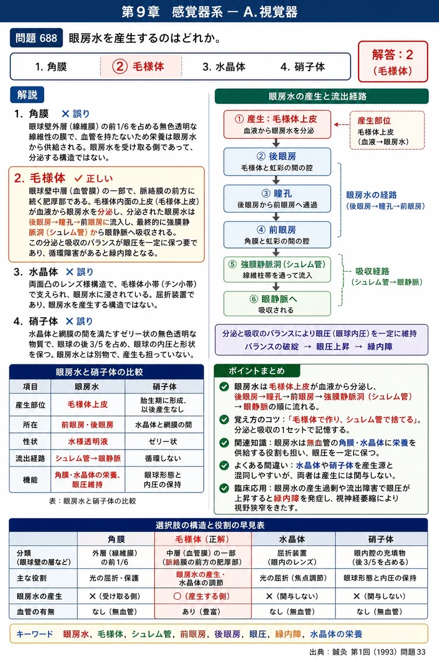 鍼灸 第1回(1993) 問題33|眼房水を産生するのはどれか。 解説図
