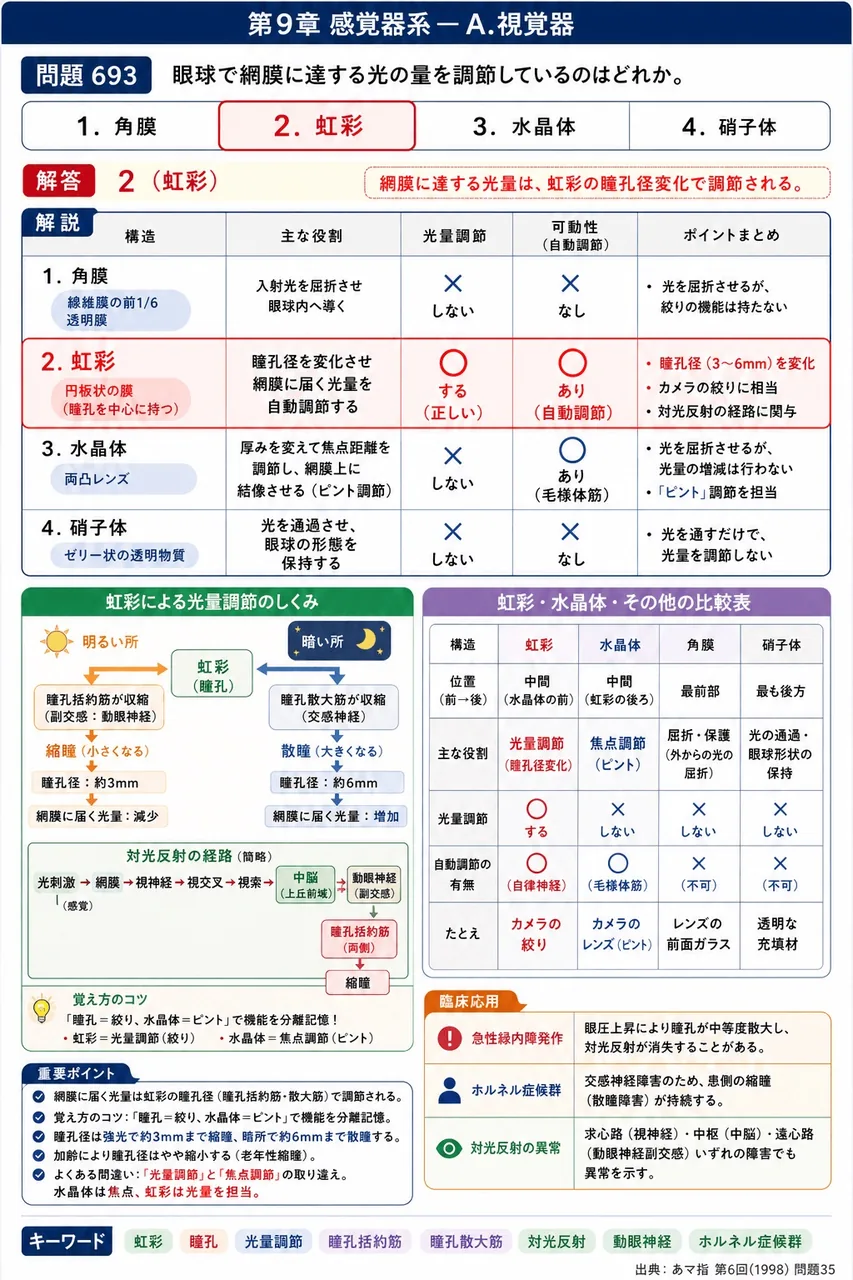あマ指 第6回(1998) 問題35｜眼球で網膜に達する光の量を調節しているのはどれか。 解説図