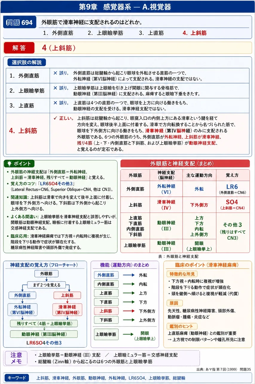 あマ指 第7回(1999) 問題35|外眼筋で滑車神経に支配されるのはどれか。 解説図