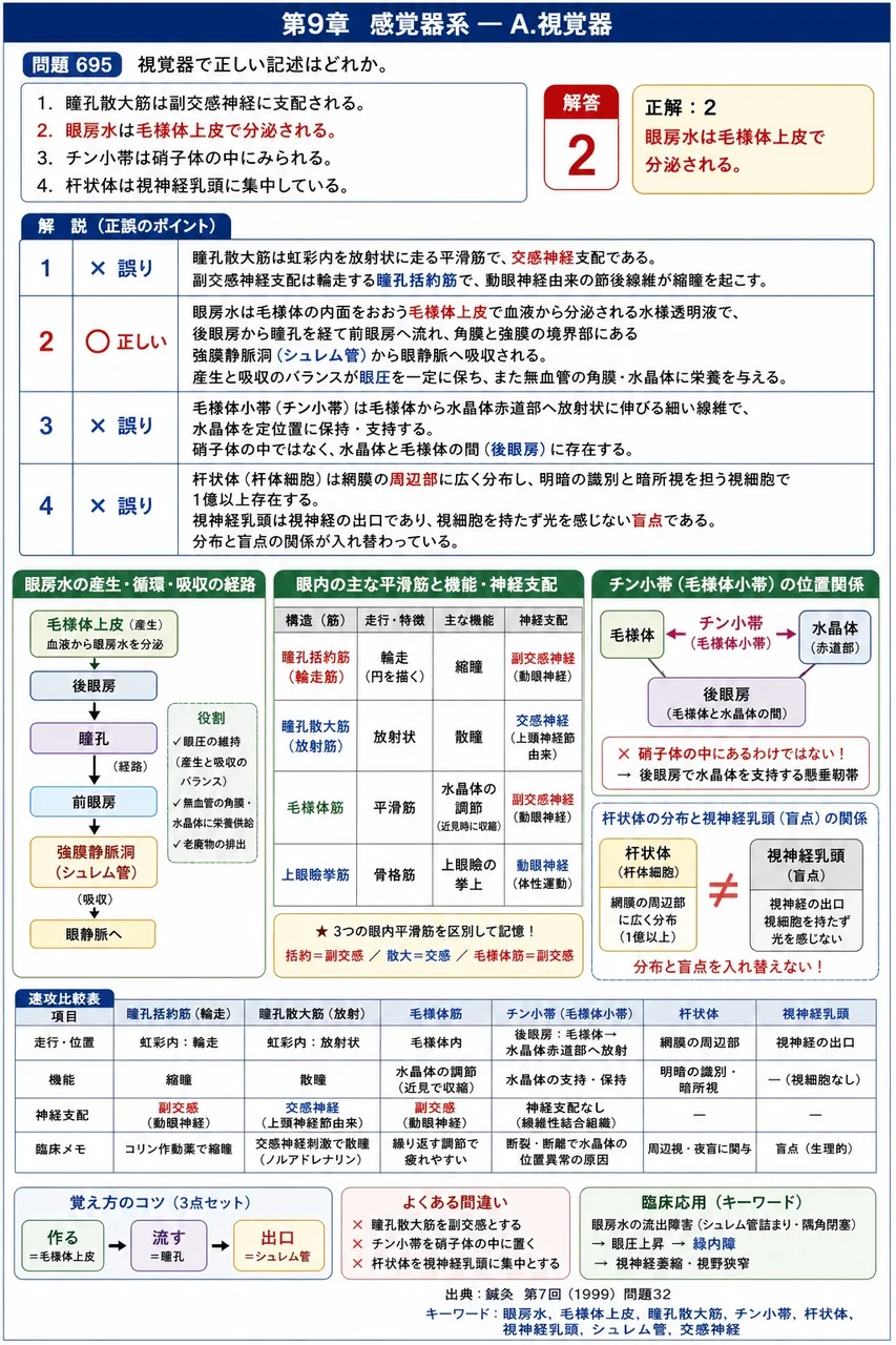 鍼灸 第7回(1999) 問題32｜視覚器で正しい記述はどれか。 解説図