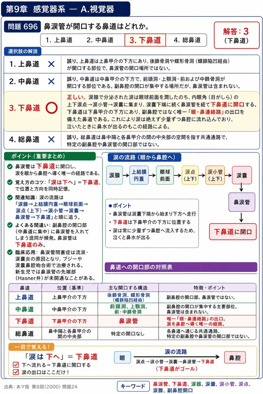 あマ指 第8回(2000) 問題24｜鼻涙管が開口する鼻道はどれか。 解説図