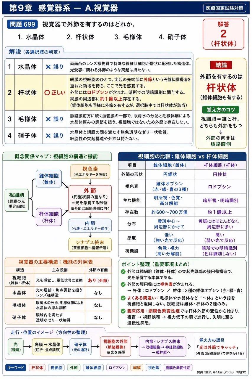 鍼灸 第11回(2003) 問題32｜視覚器で外節を有するのはどれか。 解説図