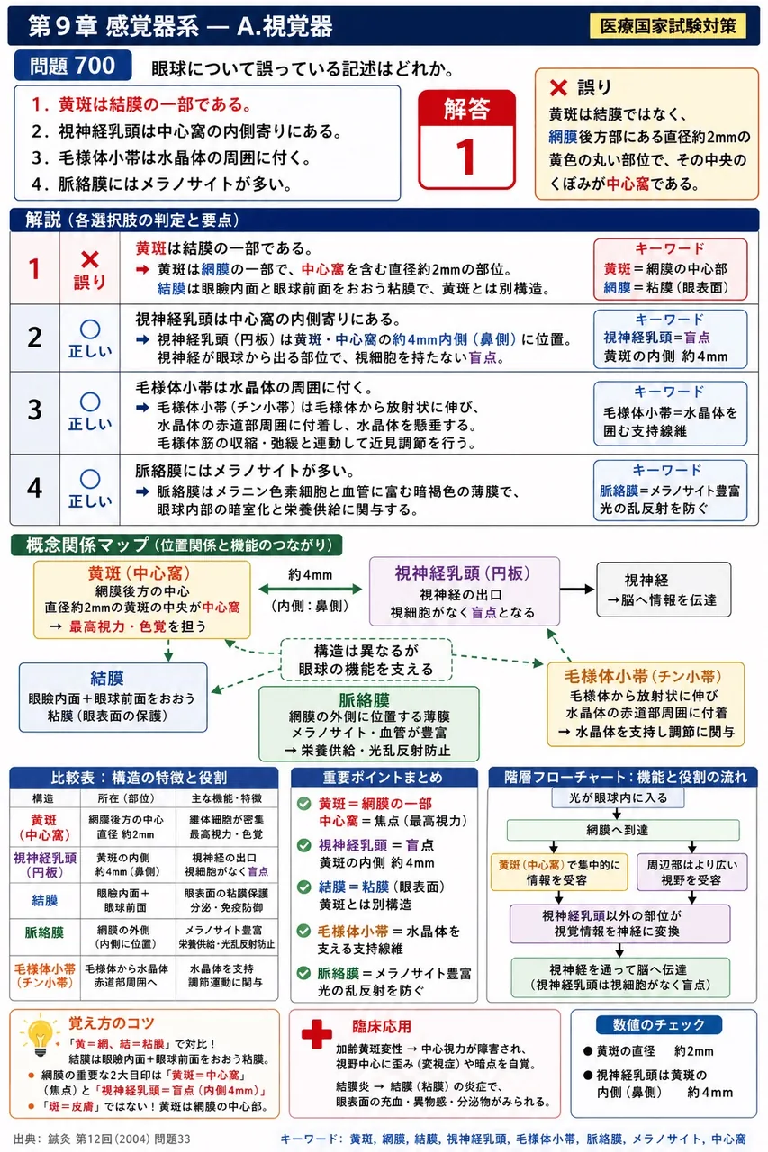 鍼灸 第12回(2004) 問題33｜眼球について誤っている記述はどれか。 解説図
