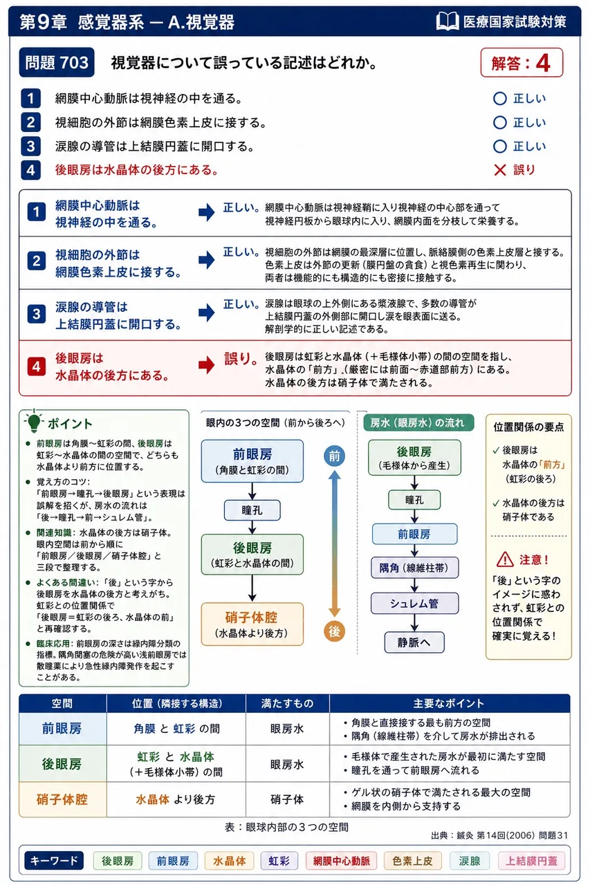 鍼灸 第14回(2006) 問題31｜視覚器について誤っている記述はどれか。 解説図